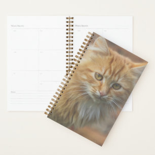 Niedliche Funky Ginger Cat Kitten Face Planer