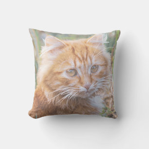 Niedliche Funky Ginger Cat Kitten Painting Kissen