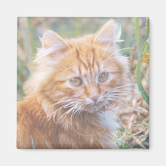 Niedliche Funky Ginger Cat Kitten Painting Magnet (Vorne)