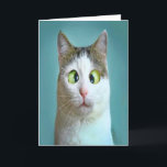 Niedliche Funny Crazy Cat Geburtstagskarte Feiertagskarte<br><div class="desc">Niedliche Funny Crazy Cat Geburtstagskarte von THEORY OF SPASS Grußkarte.</div>