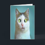 Niedliche Funny Crazy Cat Geburtstagskarte Feiertagskarte<br><div class="desc">Niedliche Funny Crazy Cat Geburtstagskarte von THEORY OF SPASS Grußkarte.</div>