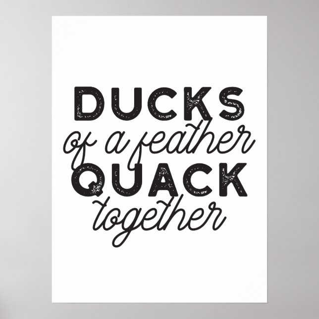 Niedliche Funny Ducks Zitat II Poster (Vorne)