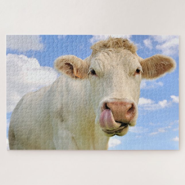 Niedliche Funny Funny Farm Charolais Kuh Lack Nose (Horizontal)