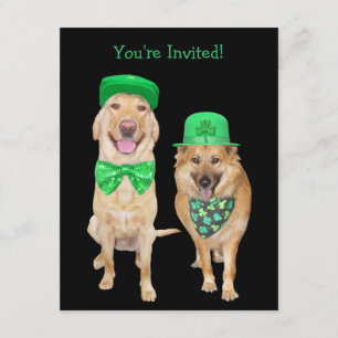 Niedliche, Funny St. Patrick's Day Irische Hunde Einladung