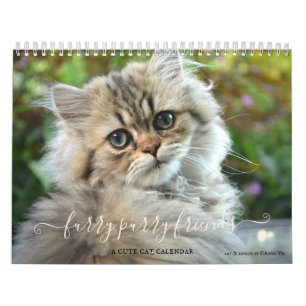 Niedliche Furry Purry Cat Lovers Kalender