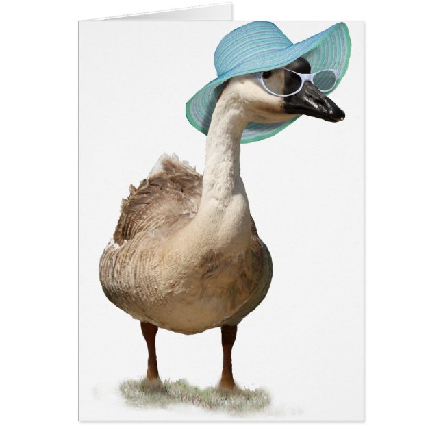 Niedliche Gans mit Summer Hat & Sunglasses (Vorne)