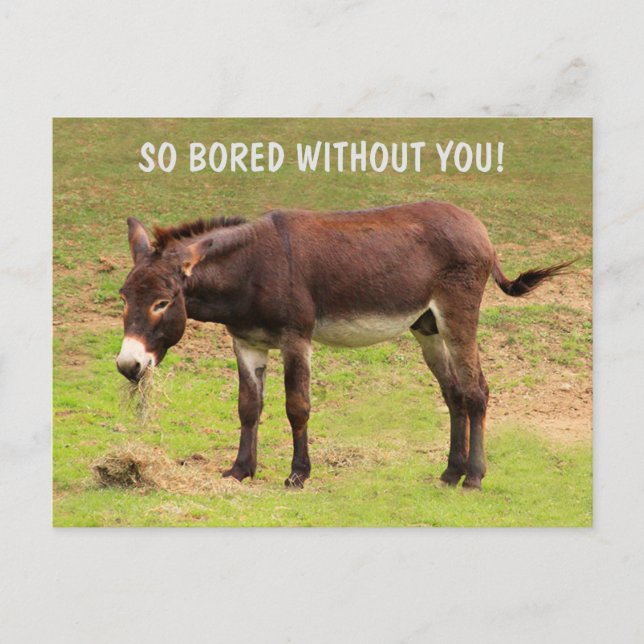 Niedliche gelangweilte Donkey-Postkarte Postkarte (Vorderseite)