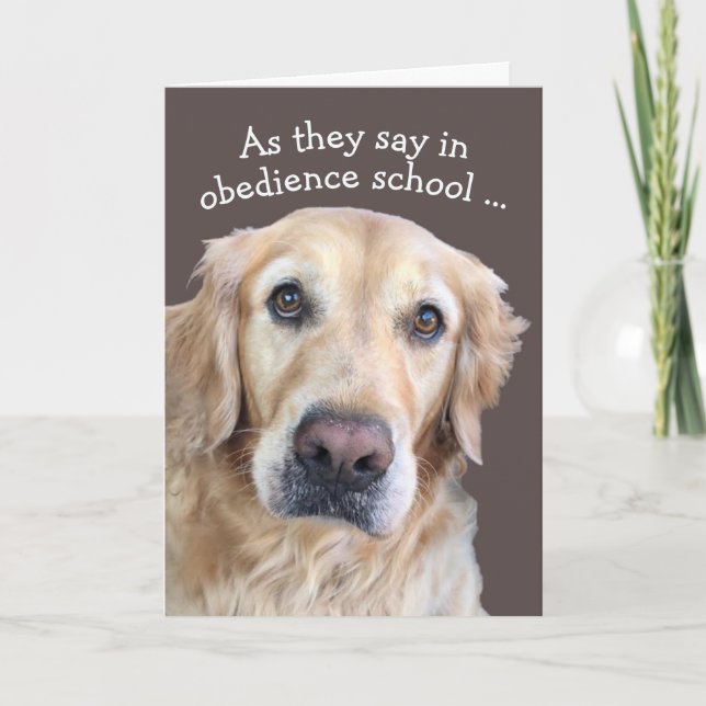 Niedliche Get Well-Card Karte (Vorderseite)