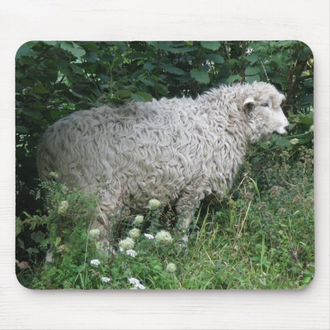Niedliche gierige Schafe essen Mousepad (Vorne)