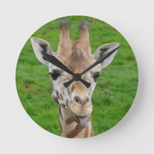 Niedliche Giraffe, die heraus Zunge haftet Runde Wanduhr