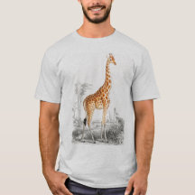 Niedliche Giraffe für afrikanische Wildtiermänner 
