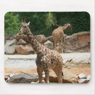 Niedliche Giraffe Mousepad
