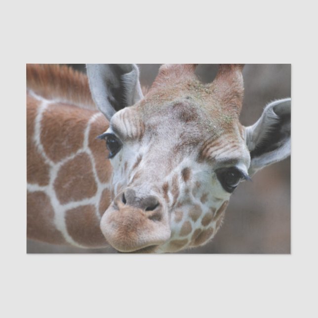 Niedliche Giraffe Seidenpapier (Vorderseite)