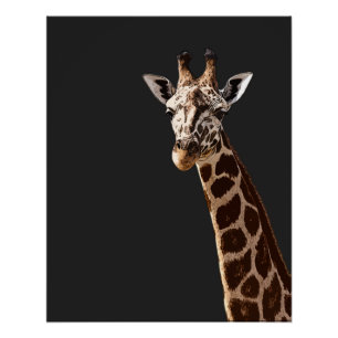 Niedliche Giraffe sieht dich an! Poster