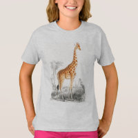 Niedliche Giraffe, wilde afrikanische Tiermädchen