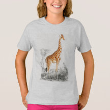 Niedliche Giraffe, wilde afrikanische Tiermädchen 
