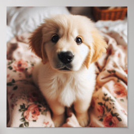 niedliche Golden Retriever Welpen Poster