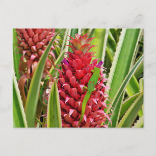 Niedliche Goldstaubgeckos auf Ananas Postkarte
