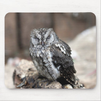 Niedliche graue Eule Mousepad