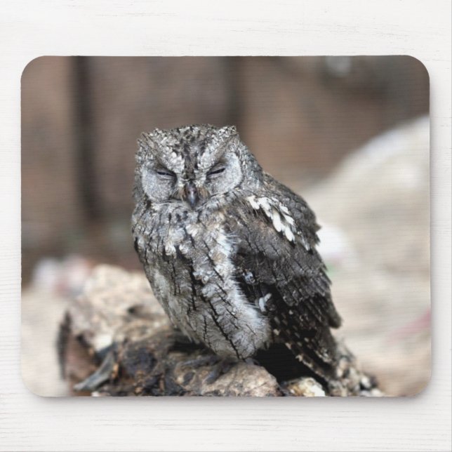 Niedliche graue Eule Mousepad (Vorne)