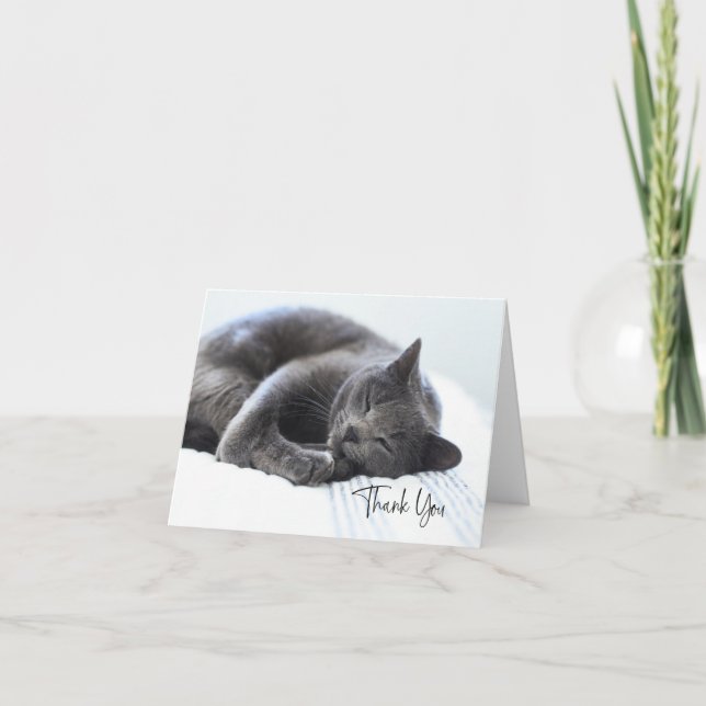 Niedliche graue Katze Danke-Karte Dankeskarte (Vorderseite)