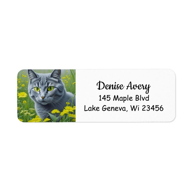 Niedliche graue Katze mit gelben Augen Ai Art (Vorne)