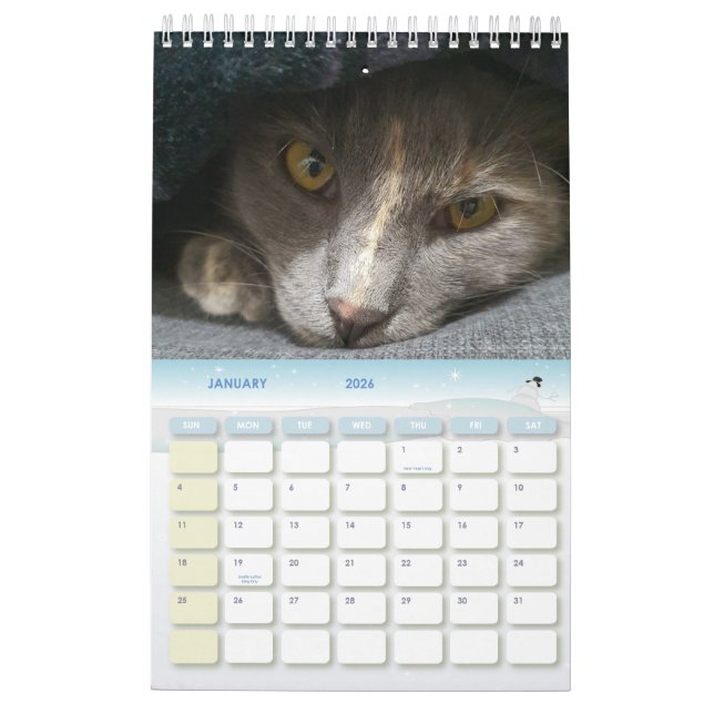 niedliche graue Katzenjacke Fotos 2025 Kalender (Jan 2026)