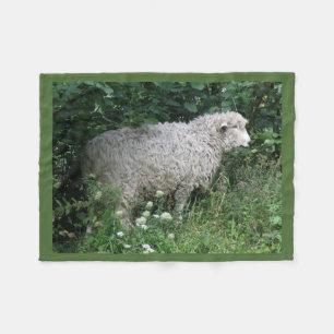 Niedliche graue Schafe essen Fleece Blanket