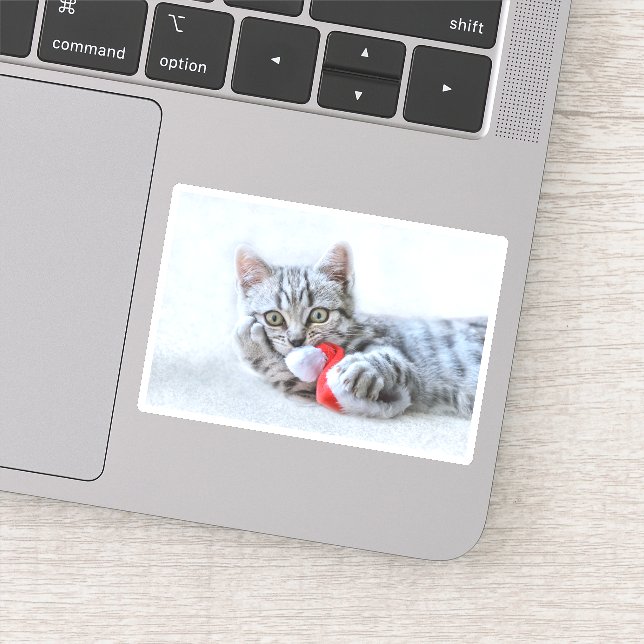 Niedliche graue Tabby Cat mit Weihnachtsmütze Weih Aufkleber (Detail)