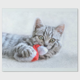 Niedliche graue Tabby Cat mit Weihnachtsmütze Weih Geschenkpapier