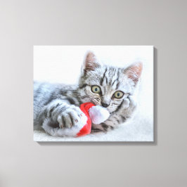 Niedliche graue Tabby Cat mit Weihnachtsmütze Weih Leinwanddruck
