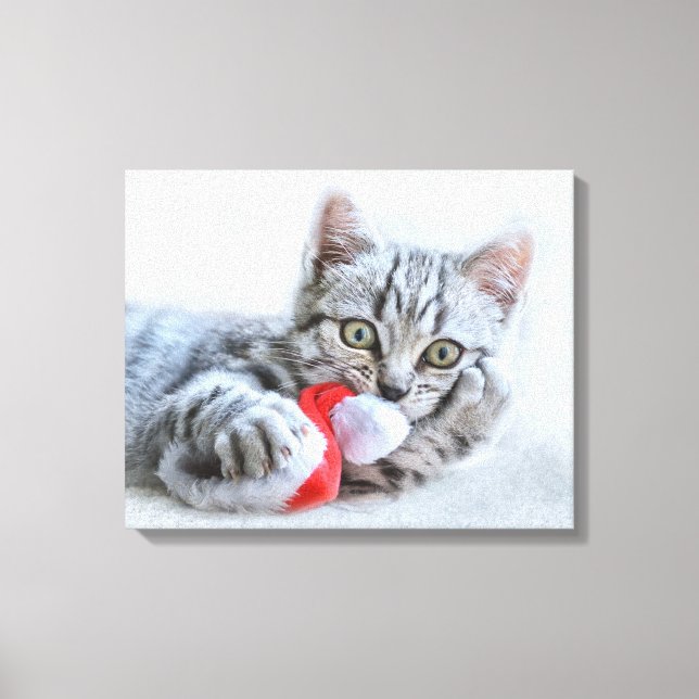 Niedliche graue Tabby Cat mit Weihnachtsmütze Weih Leinwanddruck (Vorderseite)