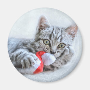 Niedliche graue Tabby Cat mit Weihnachtsmütze Weih Magnet