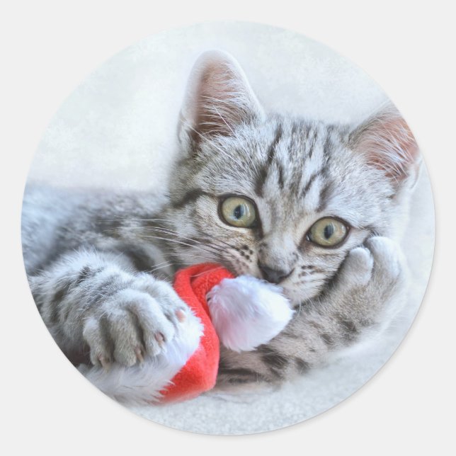 Niedliche graue Tabby Cat mit Weihnachtsmütze Weih Runder Aufkleber (Vorderseite)