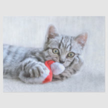 Niedliche graue Tabby Cat mit Weihnachtsmütze Weih
