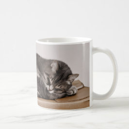 Niedliche graue Tabby Katze Schlafen im Kasten Kaffeetasse