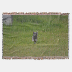 Niedliche Graukatze auf dem Grünen Gras Foto Decke