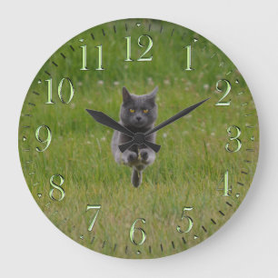 Niedliche Graukatze auf dem Grünen Gras Foto Große Wanduhr