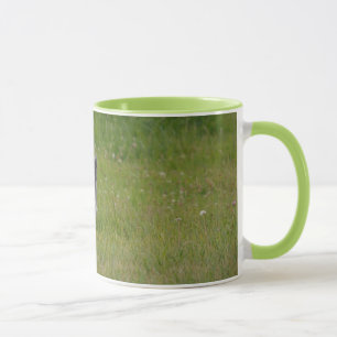 Niedliche Graukatze auf dem Grünen Gras Foto Tasse