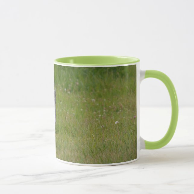 Niedliche Graukatze auf dem Grünen Gras Foto Tasse (Rechts)