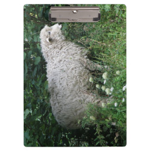 Niedliche Greedy Sheep Eating Clipboard Klemmbrett