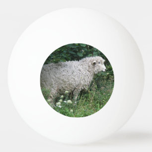 Niedliche Greedy Sheep Eating Ping Pong Ball Tischtennisball