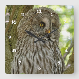 Niedliche großes Grau-Eulen-Druck-Wand-Uhr Quadratische Wanduhr