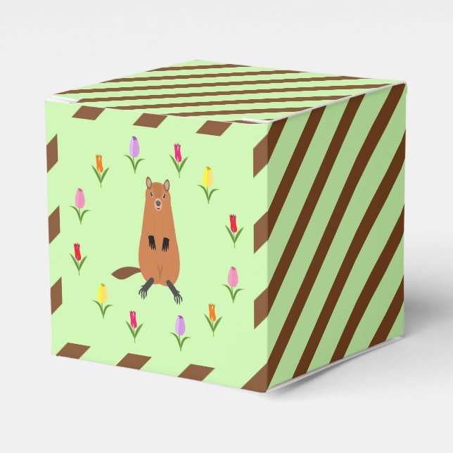 Niedliche Groundhog- und Tulip-Blume Geschenkschachtel (Vorderseite)