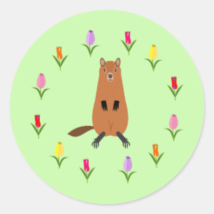 Niedliche Groundhog- und Tulip-Blume Runder Aufkleber