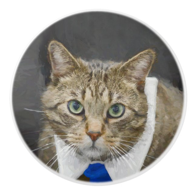 Niedliche grün-mit Augen braune Tabbykatze, die Keramikknauf (Vorderseite)