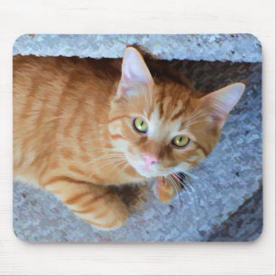 Niedliche grüne Augenorange Tabby-Katze Mousepad