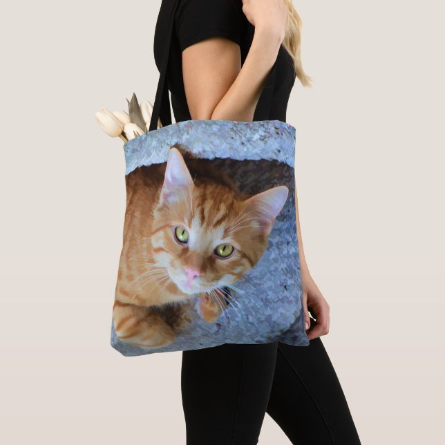 Niedliche grüne Augenorange Tabby-Katze Tasche (Von Nahem)