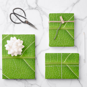 Niedliche Grüntöne mit Blätterblättern, Nah au Geschenkpapier Set