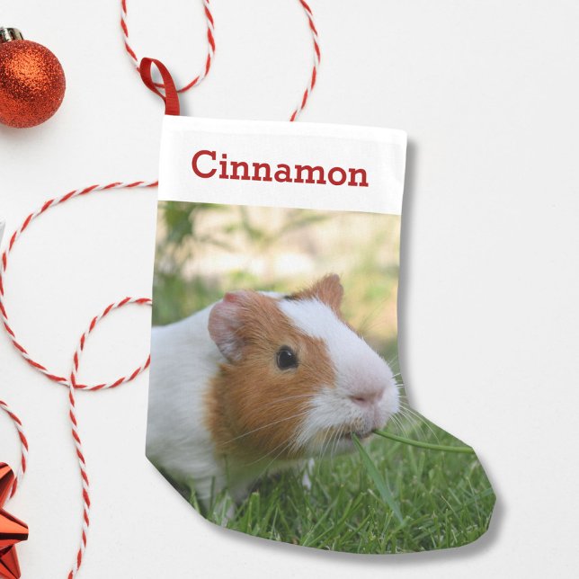 Niedliche Guinea Foto und Name Personalisiert Kleiner Weihnachtsstrumpf (Von Creator hochgeladen)